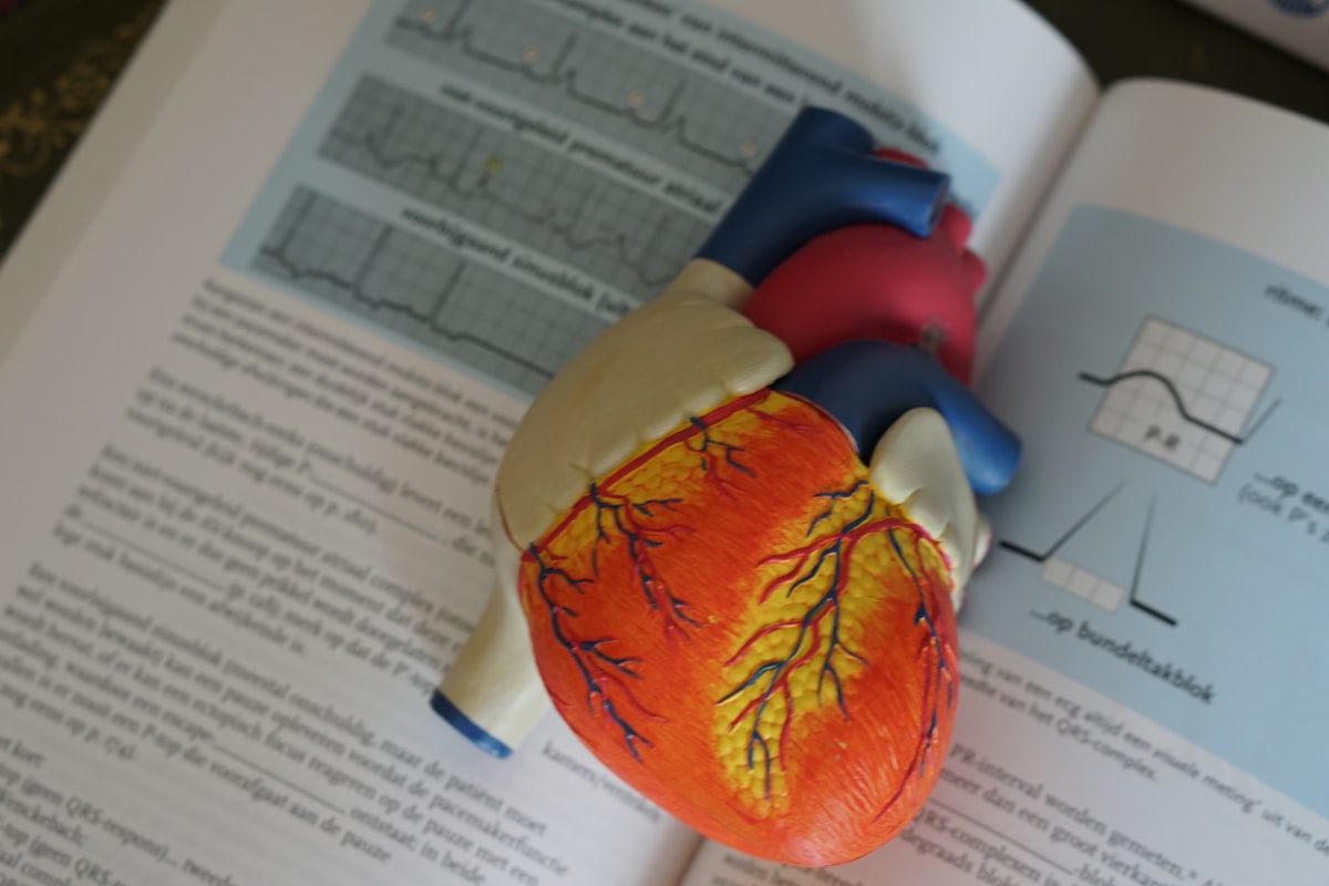 Imagerie cardio-pulmonaire